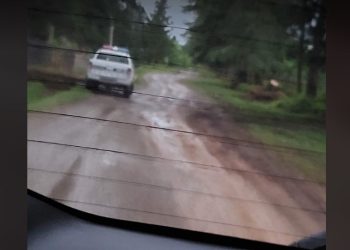 სავარაუდო გაუპატიურების ფაქტი სოფელ ნატანებში