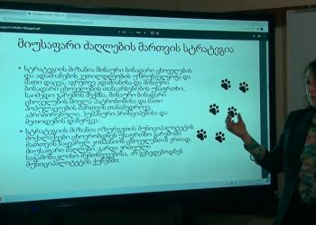 მიუსაფარი ცხოველების მართვის სტრატეგიის დოკუმენტის განხილვა