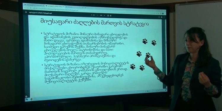 მიუსაფარი ცხოველების მართვის სტრატეგიის დოკუმენტის განხილვა