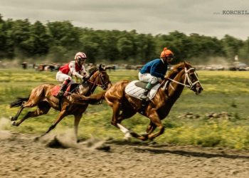 ოზურგეთელი ცხენოსანი თორნიკე თოდრია საქართველოს პირველობიდან სამი მედლით დაბრუნდა