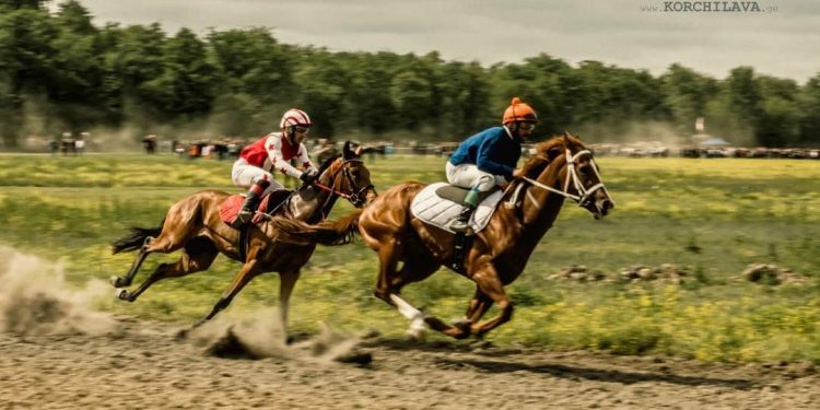 ოზურგეთელი ცხენოსანი თორნიკე თოდრია საქართველოს პირველობიდან სამი მედლით დაბრუნდა