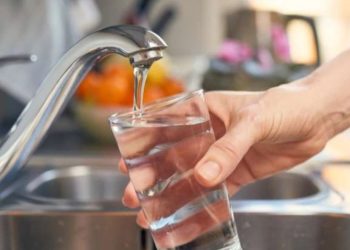 საქართველოში ლეფტოსპიროზის შემთხვევებმა იმატა – როგორ ვრცელდება დაავადება და რა სიმპტომებით უნდა ამოვიცნოთ ის