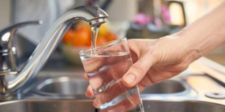 საქართველოში ლეფტოსპიროზის შემთხვევებმა იმატა – როგორ ვრცელდება დაავადება და რა სიმპტომებით უნდა ამოვიცნოთ ის