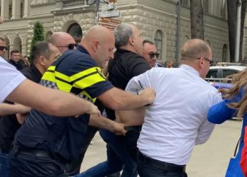 პარლამენტთან სამართალდამცველებმა ერთი პირი დააკავეს