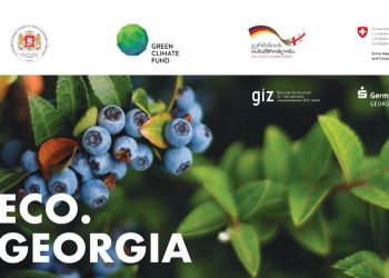 უფასო ბიზნეს ტრენინგები გურიის მაცხოვრებლებისთვის