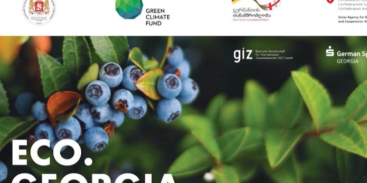 უფასო ბიზნეს ტრენინგები გურიის მაცხოვრებლებისთვის