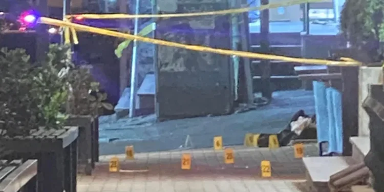 თბილისში მომხდარი მკვლელობის შესახებ ახალი დეტალები ხდება ცნობილი