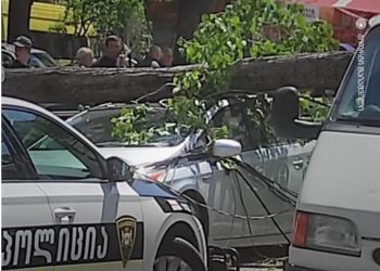 თბილისში მანქანას ხე დაეცა, დაშავდა ერთი ადამიანი