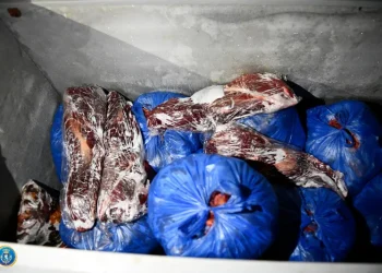 დაავადებული ცხენის ხორცით დამზადებული პროდუქციის რეალიზაციის ფაქტი – დაკავებულია სამი პირი