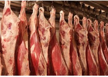 მსხვილფეხა პირუტყვის დაკვლის საფასური გაიზარდა – რა ღირს სასაკლაოების მომსახურება