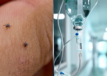 სამცხე-ჯავახეთში ყირიმ-კონგოთი კიდევ 2 ადამიანი დაინფიცირდა