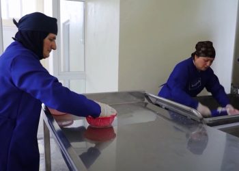 ზოტში რძის გადამმუშავებელი კოოპერაციული საწარმო გაიხსნა