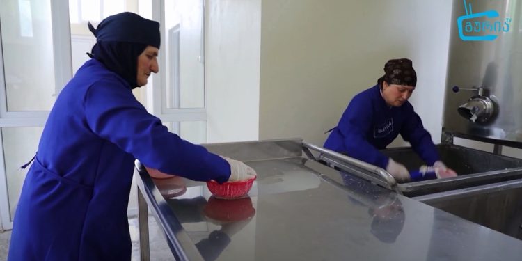 ზოტში რძის გადამმუშავებელი კოოპერაციული საწარმო გაიხსნა