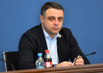 “ისე იქნევს ამ ვეტოს, როგორც ხმალს“ – ალუდა ღუდუშაური სალომე ზურაბიშვილზე