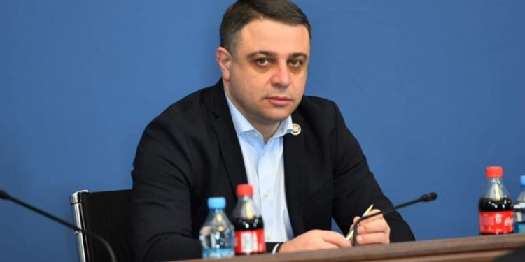 “ისე იქნევს ამ ვეტოს, როგორც ხმალს“ – ალუდა ღუდუშაური სალომე ზურაბიშვილზე