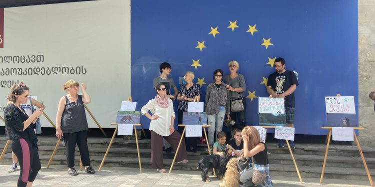 ვიდეო – ცხოველთა უფლებადამცველთა აქცია ოზურგეთში
