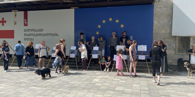 ოზურგეთში ცხოველთა უფლებადამცველებმა აქცია გამართეს