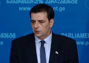 “ვფიქრობ, რომ ხდება მოსახლეობის შეგნებულად შეცდომაში შეყვანა”-პრეზიდენტის საპარლამენტო მდივანი