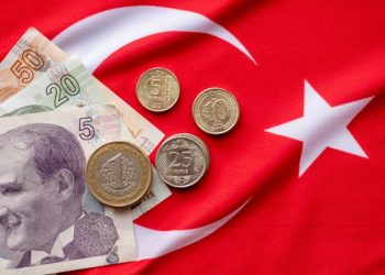 თურქული ლირა რეკორდულ ნიშნულამდე გაუფასურდა