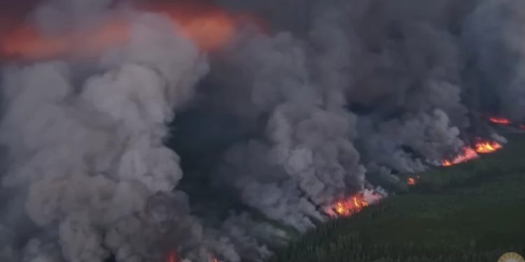 კანადაში ტყის ხანძრების კვამლმა, ამერიკის შემდეგ, ევროპამდეც მიაღწია