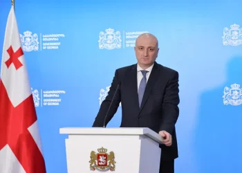 ღვიძლის გადანერგვის ოპერაციას სახელმწიფო სრულად დააფინანსებს