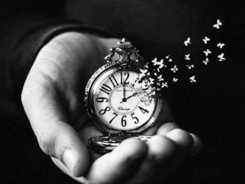 ”მკითხველის რუბრიკა” – წიგნი დამალული სათქმელების შესახებ