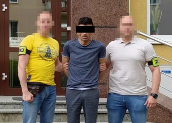 პოლონეთში, კატალიზატორის ქურდობისთვის ქართველი დააკავეს