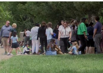 რა ხდება თბილისის კერძო სკოლაში, სადაც ევაკუაცია გამოცხადდა – ადმინისტრაცია განცხადებას ავრცელებს