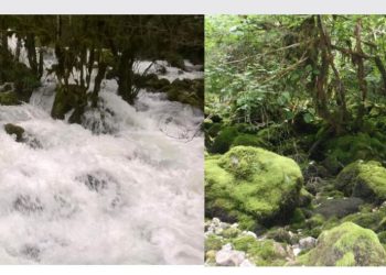 მდინარე „დეიძახი“ სამეგრელოში, რომელიც მოულოდნელად ჩნდება და ქრება(+ვიდეო)