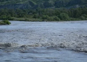 მტკვარში მაშველები არასრულწლოვანს ეძებენ