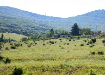 13 მლნ ლარის უძრავი ქონების დაუფლების მცდელობის ფაქტზე, სამი პირი დააკავეს