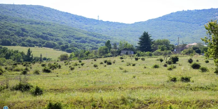 13 მლნ ლარის უძრავი ქონების დაუფლების მცდელობის ფაქტზე, სამი პირი დააკავეს