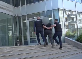 “2 ცეცხლსასროლი იარაღი, 35 ვაზნა”- ოზურგეთის რაიონული სამმართველოს თანამშრომლების მიერ დაკავებულია 1 პირი