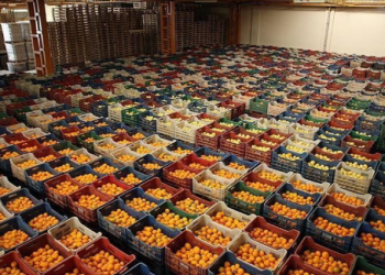 თურქული ლირის ახალი კოლაფსი – ხილ-ბოსტნეულის ექსპორტი 10%-ით გაიზარდა