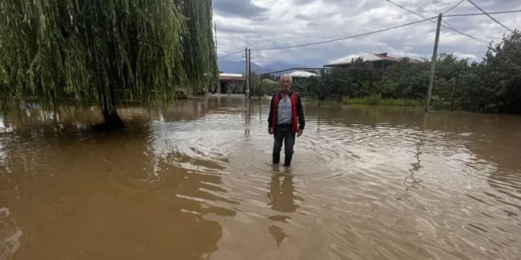 სტიქია კახეთში – ადიდებულმა მდინარემ სახლები და სასოფლო სამეურნეო სავარგულები დატბორა