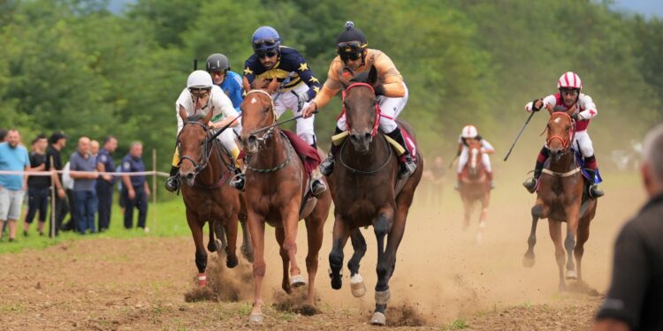 საცხენოსნო ტურნირი ,, ოზურგეთის თასი – 2023″