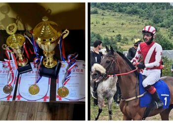 ორი ოქრო და ერთი ვერცხლი – ოზურგეთელი მოჯირითის წარმატება