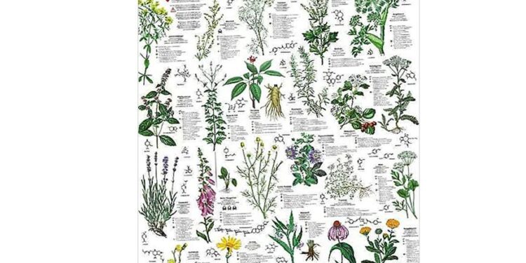 ტესტი- გამოიცანით მცენარე მისი თვისებებით