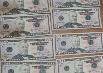 ყალბი 50-დოლარიანების გასაღების ფაქტზე ორი პირი დააკავეს