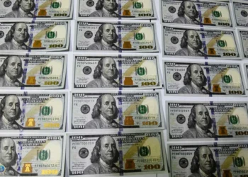 დიდი ოდენობით ყალბი ვალუტის გასაღების ფაქტზე ერთი პირი დააკავეს