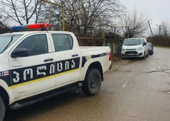 ადგილობრივები შვილის მიერ მამის მკვლელობასთან დაკავშირებით გარკვეულ გარემოებაზე საუბრობენ