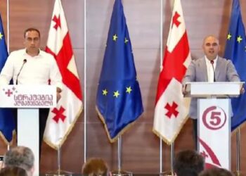ნაციონალური მოძრაობა და სტრატეგია აღმაშენებელი ახალ პოლიტიკურ პლატფორმას ქმნიან