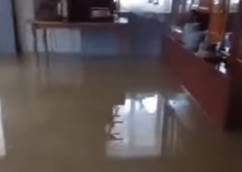 ვიდეო – ”სესხით გარემონტებული სახლი მთლიანად დაგვეტბორა” – წურწუმიების ოჯახი დახმარებას ითხოვს