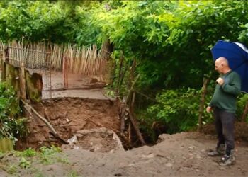 გურიის ახალი ამბები – 12.07.2023