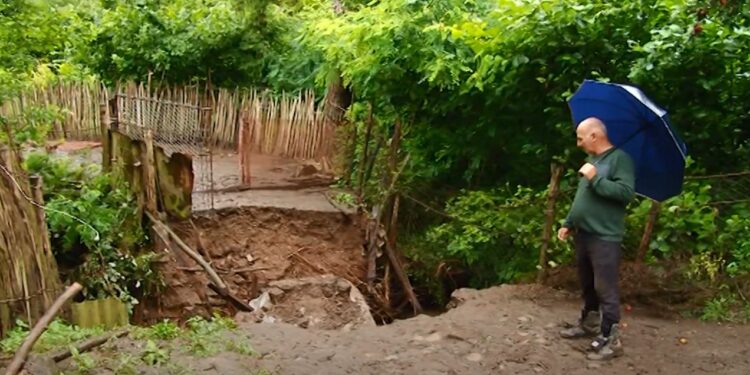 გურიის ახალი ამბები – 12.07.2023