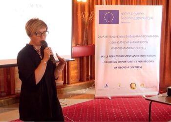 პროექტის “უნარები დასაქმებისა და თანამშრომლობისთვის” შემაჯამებელი პრეზენტაცია