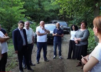 გურიაში სტიქიის შედეგად მიყენებული ზარალის აღრიცხვა მიმდინარეობს