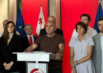 თათია ნიკოლაიშვილი ნაციონალური მოძრაობის პოლიტსაბჭოს თავმჯდომარის მოადგილედ დაინიშნა