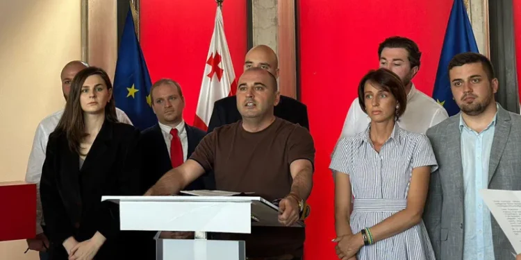 თათია ნიკოლაიშვილი ნაციონალური მოძრაობის პოლიტსაბჭოს თავმჯდომარის მოადგილედ დაინიშნა