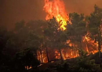 საბერძნეთის კუნძულ როდოსიდან, ტყის ხანძრის გამო, ათასობით ადამიანის ევაკუაცია განხორციელდა